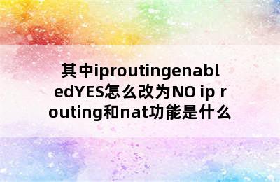 其中iproutingenabledYES怎么改为NO ip routing和nat功能是什么